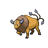 first pokemon