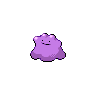 first pokemon
