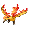 first pokemon