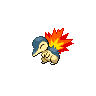 first pokemon
