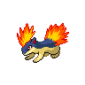 first pokemon