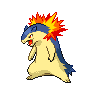 first pokemon
