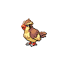 first pokemon