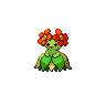 first pokemon
