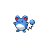 first pokemon