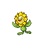 first pokemon