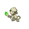 first pokemon