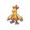 first pokemon