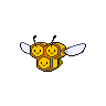first pokemon