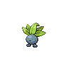 first pokemon