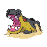 first pokemon