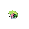 first pokemon