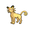 first pokemon