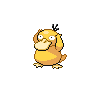 first pokemon