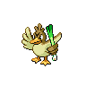 first pokemon